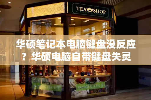 华硕笔记本电脑键盘没反应？华硕电脑自带键盘失灵-第1张图片-星选测评