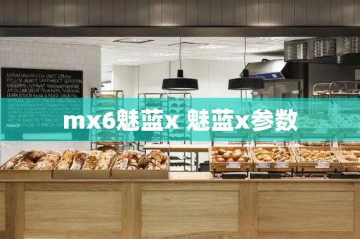 mx6魅蓝x 魅蓝x参数-第1张图片-星选测评