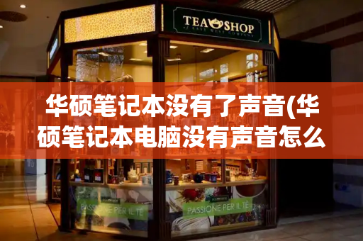 华硕笔记本没有了声音(华硕笔记本电脑没有声音怎么办)