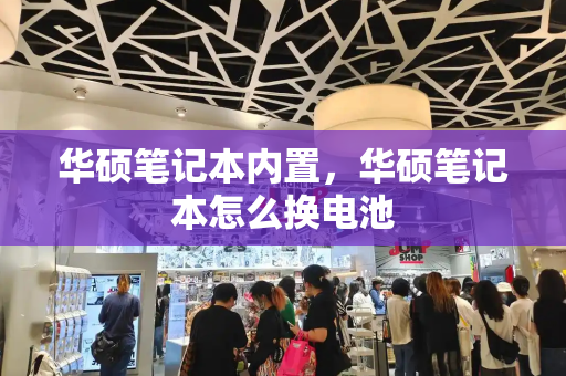 华硕笔记本内置，华硕笔记本怎么换电池-第1张图片-星选测评