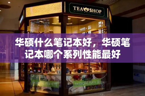 华硕什么笔记本好，华硕笔记本哪个系列性能最好-第1张图片-星选测评