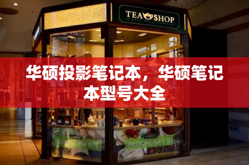华硕投影笔记本，华硕笔记本型号大全-第1张图片-星选测评