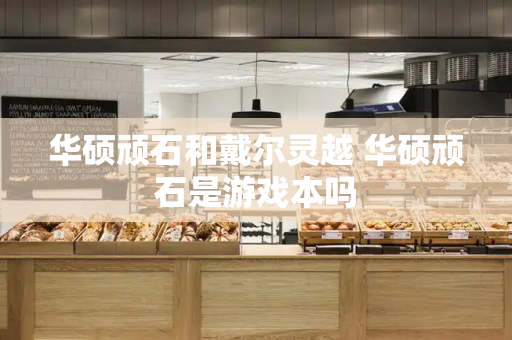 华硕顽石和戴尔灵越 华硕顽石是游戏本吗-第1张图片-星选测评