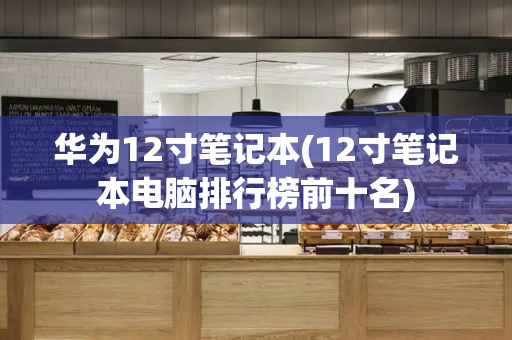 华为12寸笔记本(12寸笔记本电脑排行榜前十名)-第1张图片-星选测评
