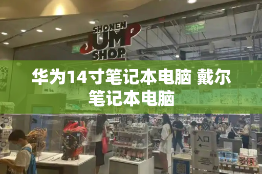 华为14寸笔记本电脑 戴尔笔记本电脑-第1张图片-星选测评