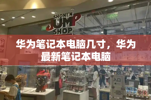 华为笔记本电脑几寸，华为最新笔记本电脑-第1张图片-星选测评