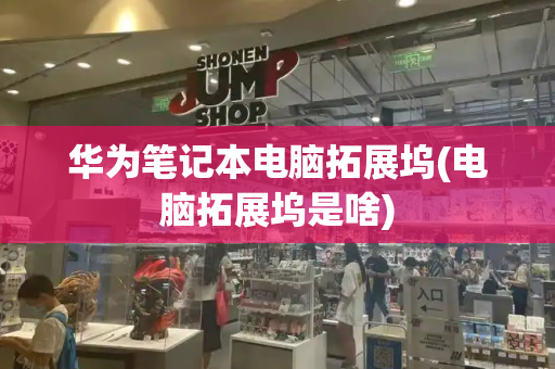 华为笔记本电脑拓展坞(电脑拓展坞是啥)-第1张图片-星选测评