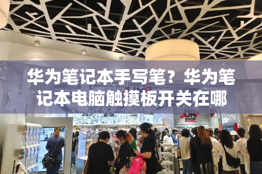 华为笔记本手写笔？华为笔记本电脑触摸板开关在哪-第1张图片-星选测评