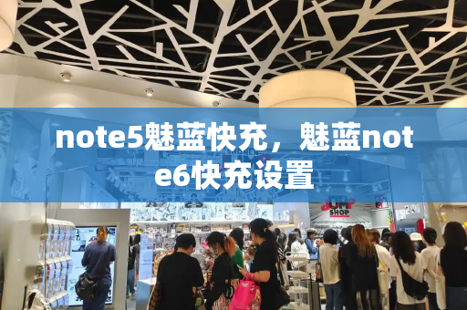 note5魅蓝快充，魅蓝note6快充设置-第1张图片-星选测评