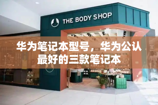 华为笔记本型号，华为公认最好的三款笔记本-第1张图片-星选测评