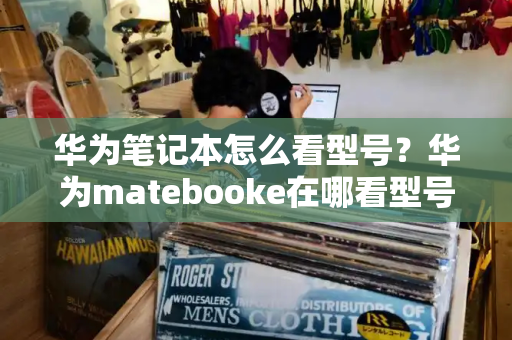华为笔记本怎么看型号？华为matebooke在哪看型号-第1张图片-星选测评