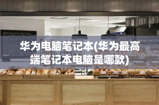 华为电脑笔记本(华为最高端笔记本电脑是哪款)-第1张图片-星选测评