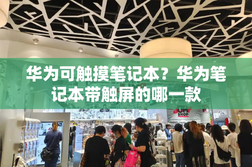 华为可触摸笔记本？华为笔记本带触屏的哪一款-第1张图片-星选测评