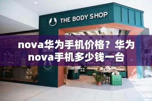 nova华为手机价格？华为nova手机多少钱一台-第1张图片-星选测评