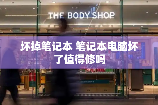 坏掉笔记本 笔记本电脑坏了值得修吗-第1张图片-星选测评