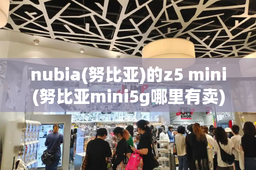 nubia(努比亚)的z5 mini(努比亚mini5g哪里有卖)