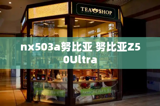nx503a努比亚 努比亚Z50Ultra