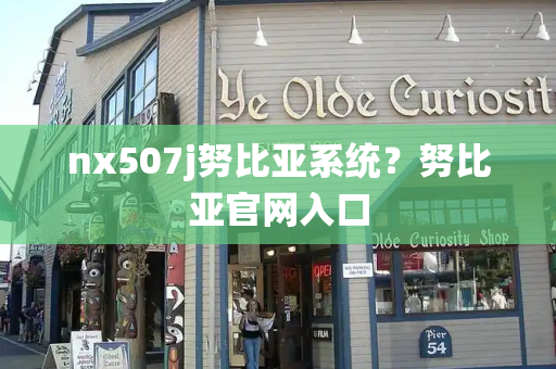 nx507j努比亚系统？努比亚官网入口-第1张图片-星选测评