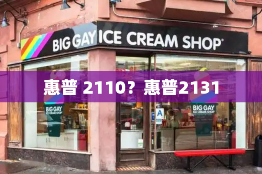 惠普 2110？惠普2131-第1张图片-星选测评