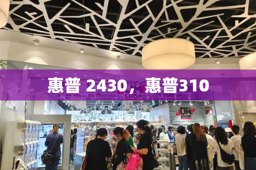 惠普 2430，惠普310