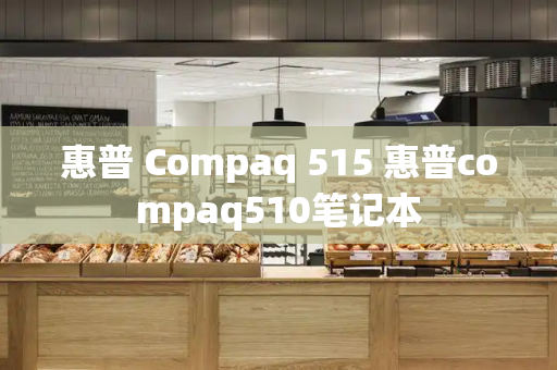 惠普 Compaq 515 惠普compaq510笔记本-第1张图片-星选测评