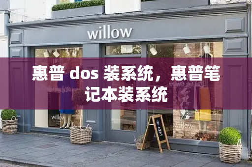 惠普 dos 装系统，惠普笔记本装系统-第1张图片-星选测评