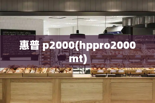 惠普 p2000(hppro2000mt)-第1张图片-星选测评