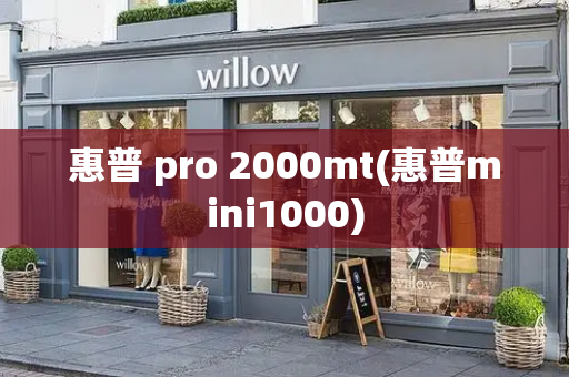 惠普 pro 2000mt(惠普mini1000)-第1张图片-星选测评