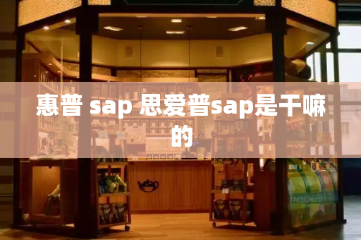 惠普 sap 思爱普sap是干嘛的