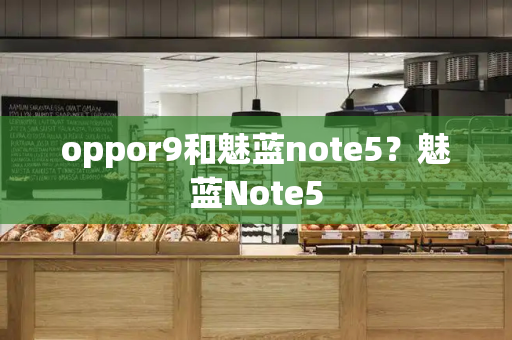 oppor9和魅蓝note5？魅蓝Note5-第1张图片-星选测评