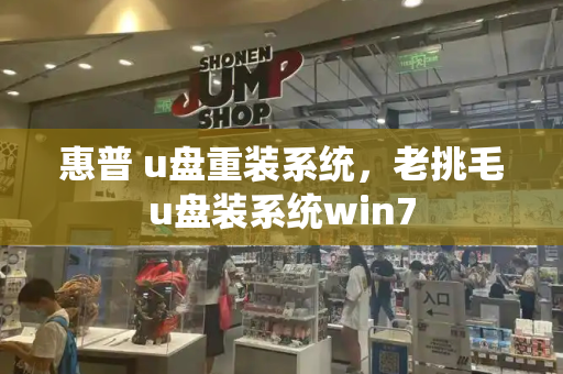 惠普 u盘重装系统，老挑毛u盘装系统win7