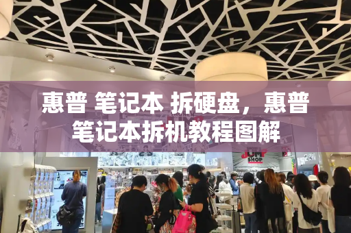 惠普 笔记本 拆硬盘，惠普笔记本拆机教程图解-第1张图片-星选测评