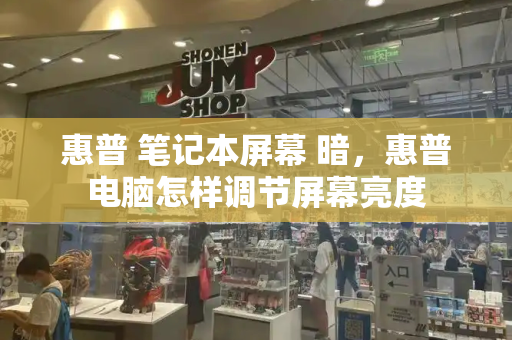 惠普 笔记本屏幕 暗，惠普电脑怎样调节屏幕亮度