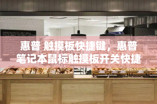 惠普 触摸板快捷键，惠普笔记本鼠标触摸板开关快捷键-第1张图片-星选测评