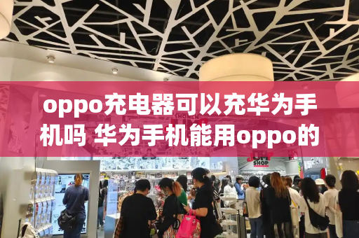 oppo充电器可以充华为手机吗 华为手机能用oppo的充电器吗-第1张图片-星选测评