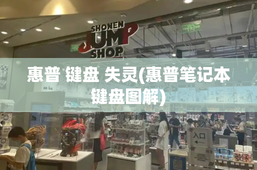 惠普 键盘 失灵(惠普笔记本键盘图解)