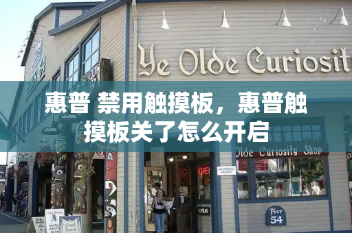 惠普 禁用触摸板，惠普触摸板关了怎么开启