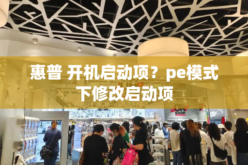 惠普 开机启动项？pe模式下修改启动项