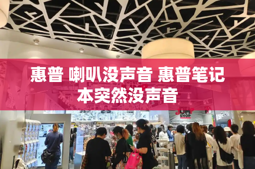 惠普 喇叭没声音 惠普笔记本突然没声音