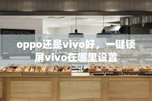 oppo还是vivo好，一键锁屏vivo在哪里设置
