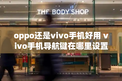 oppo还是vivo手机好用 vivo手机导航键在哪里设置-第1张图片-星选测评