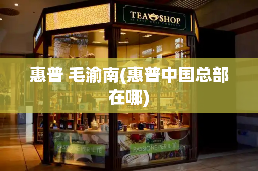 惠普 毛渝南(惠普中国总部在哪)