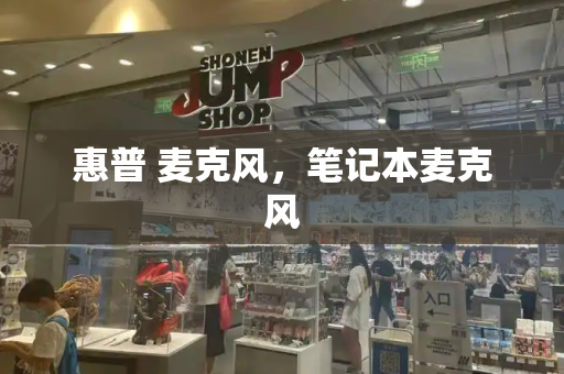 惠普 麦克风，笔记本麦克风
