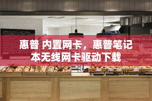 惠普 内置网卡，惠普笔记本无线网卡驱动下载-第1张图片-星选测评