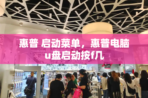 惠普 启动菜单，惠普电脑u盘启动按f几