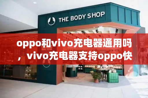 oppo和vivo充电器通用吗，vivo充电器支持oppo快充吗