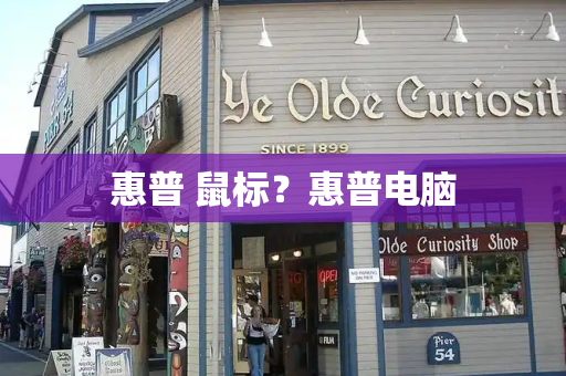 惠普 鼠标？惠普电脑
