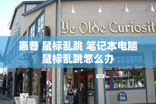 惠普 鼠标乱跳 笔记本电脑鼠标乱跳怎么办