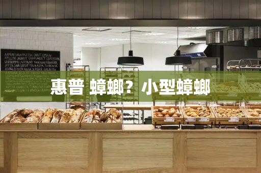 惠普 蟑螂？小型蟑螂