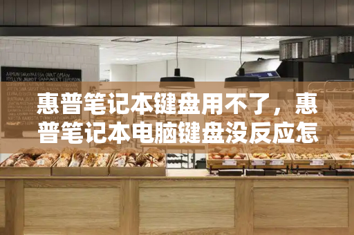惠普笔记本键盘用不了，惠普笔记本电脑键盘没反应怎么办-第1张图片-星选测评